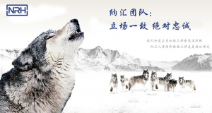 蜜桃AV网址大全的團隊精神