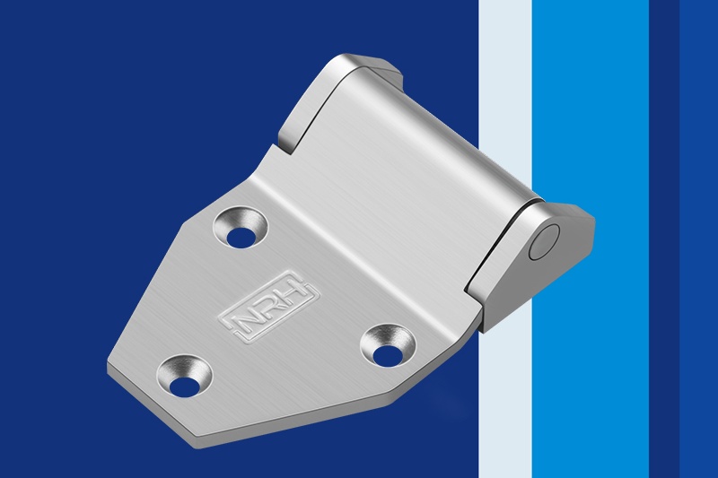 亚洲国产精品久久久久蜜桃网站